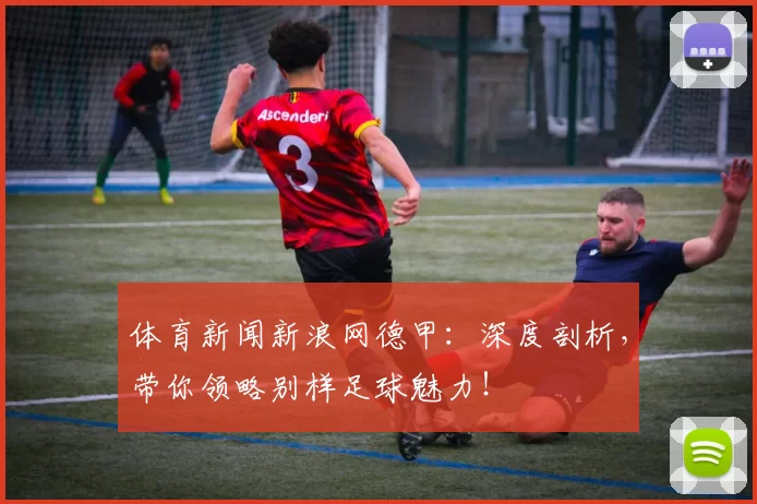 体育新闻新浪网德甲：深度剖析，带你领略别样足球魅力！
