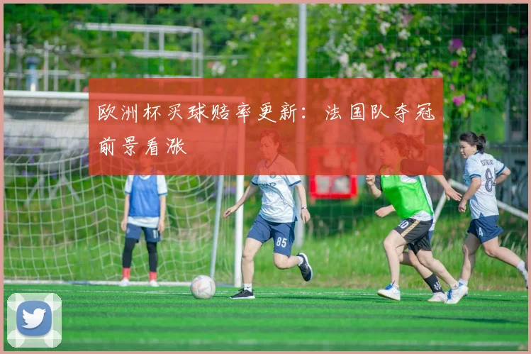 欧洲杯买球赔率更新:法国队夺冠前景看涨