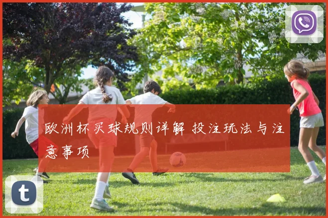 欧洲杯买球规则详解 投注玩法与注意事项