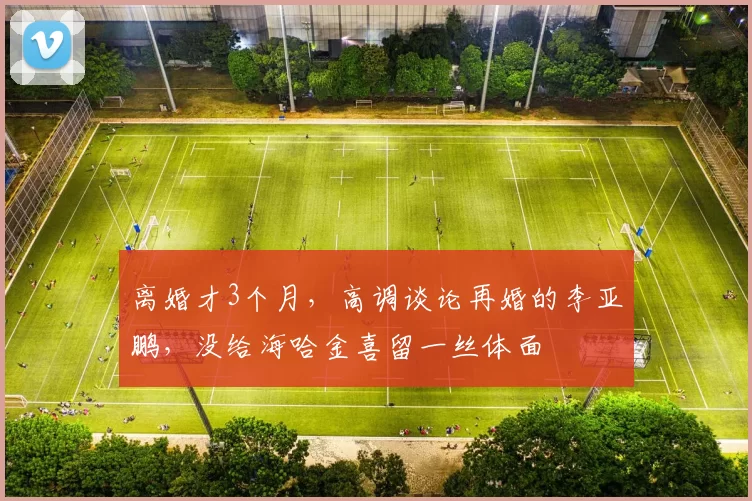 离婚才3个月,高调谈论再婚的李亚鹏,没给海哈金喜留一丝体面